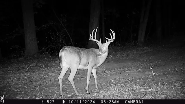 Osage Trl, Unionville, MO 63565
