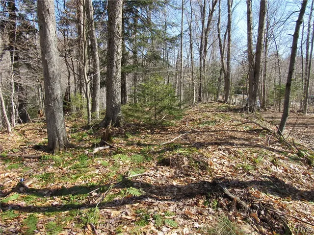 Address Not Disclosed, Old Forge, NY 13420