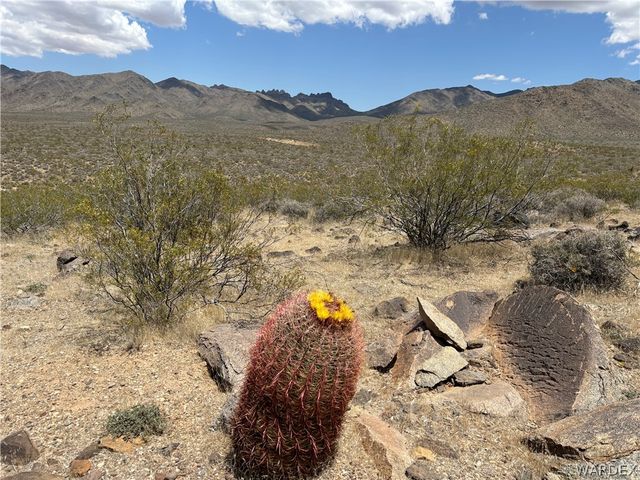 316-05-033 June Road, Dolan Springs, AZ 86441