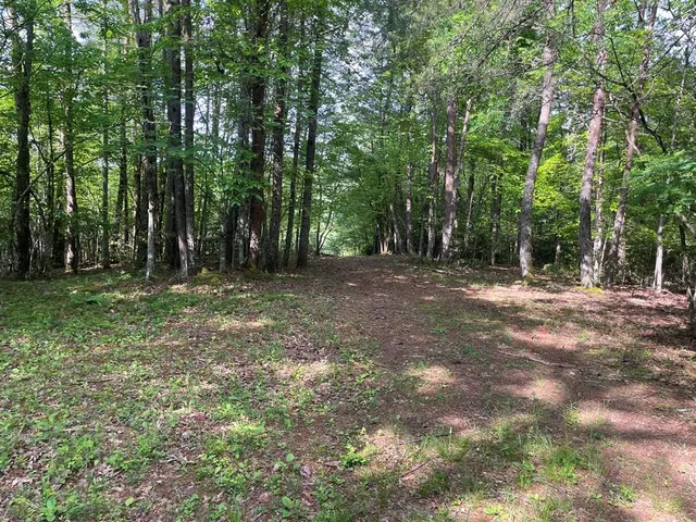 Rickman Creek Rd, Franklin, NC 28734