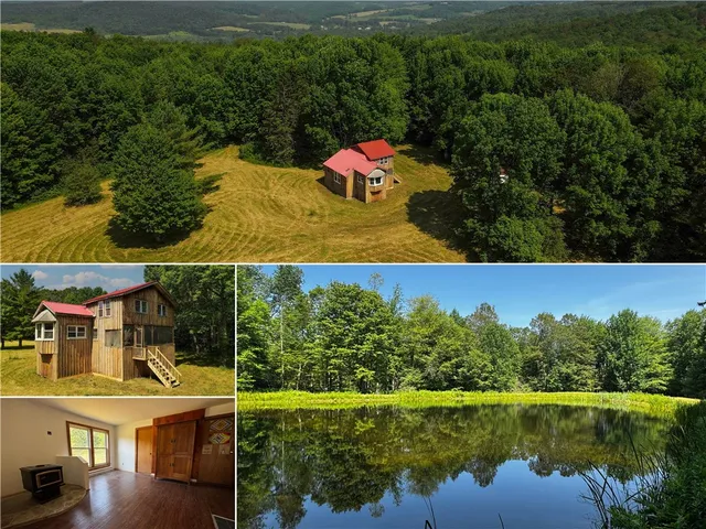 672 Backus Rd, Mount Vision, NY 13810