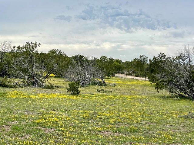 1448 County Road 312, Eldorado, TX 76936