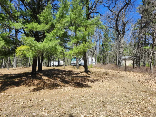 Downs Rd, Houghton Lake, MI 48629