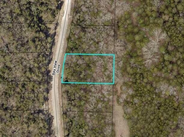 459 Bay View Dr Drive, Hollister, MO 65672
