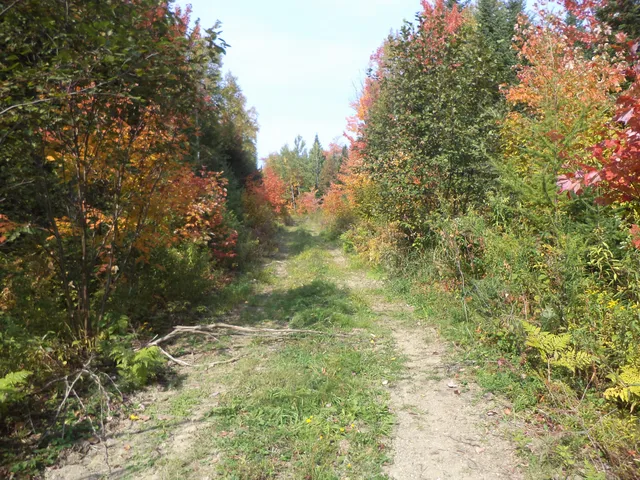 913 Skedgell Road, Orient, ME 04471