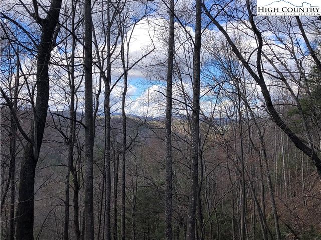 Lot 141B Hickory Hollow Road, Purlear, NC 28665