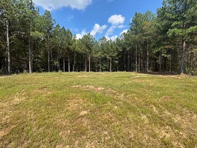 Boone Pass #212, Jasper, TN 37347
