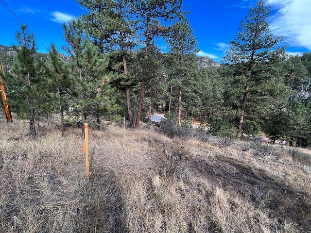 221 Insmont Rd, Bailey, CO 80421