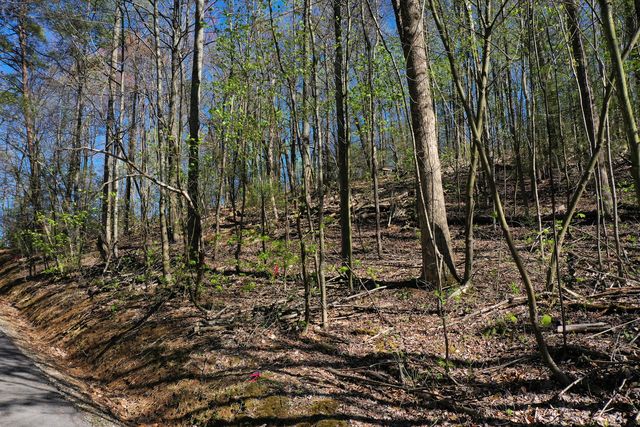 Lot 804 Rhododendron Ln, Sevierville, TN 37876