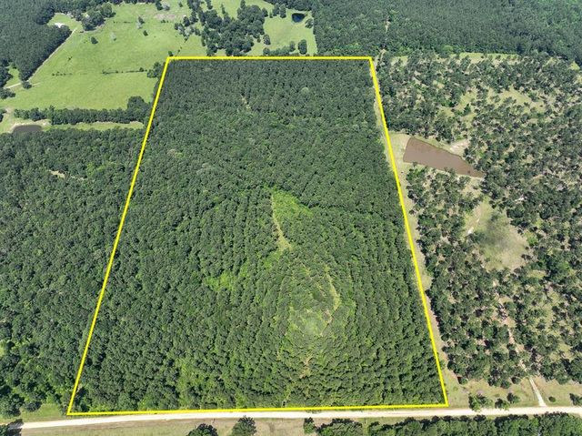 3 Fodice Rd, Pennington, TX 75856