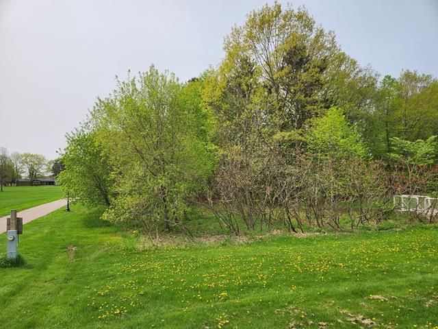 Lot 8 3RD STREET, Pittsville, WI 54466