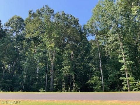7521 Whisper Hollow Ln   #28, Lewisville, NC 27023