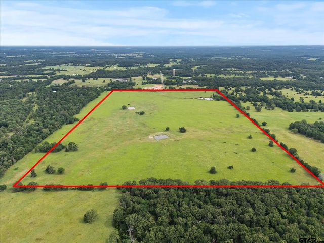 County Road 4607, Ben Wheeler, TX 75754