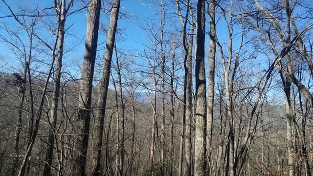 38 Cave Springs Rd, Cullowhee, NC 28723