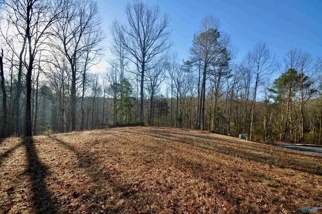 Lot 5&6 Ryan Creek Rd, Cullman, AL 35055