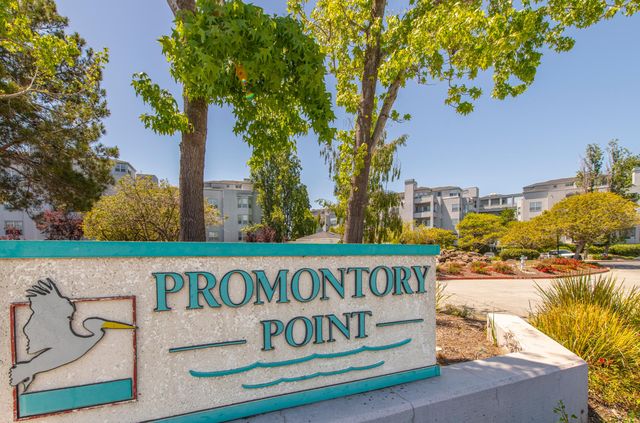720 Promontory Point Ln #2204, Foster City, CA 94404