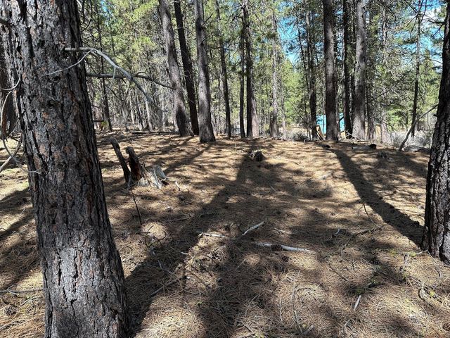 Lot 4 Waterview Way  N, Chiloquin, OR 97624