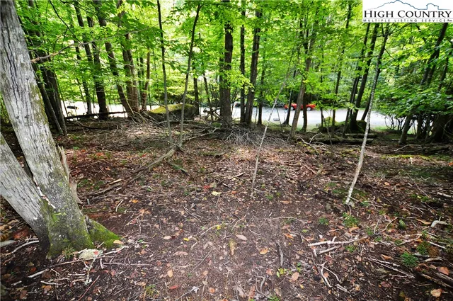 307 and 309 Overbrook Trail, Banner Elk, NC 28604