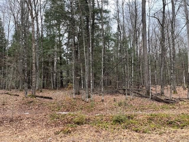 N  Forest Lake Rd #2, Land O Lakes, WI 54540