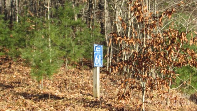 High Peak Dr #61, Burnsville, NC 28714
