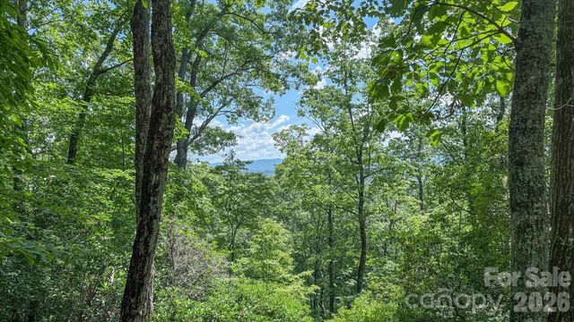 Stone Dr #L40, Brevard, NC 28712