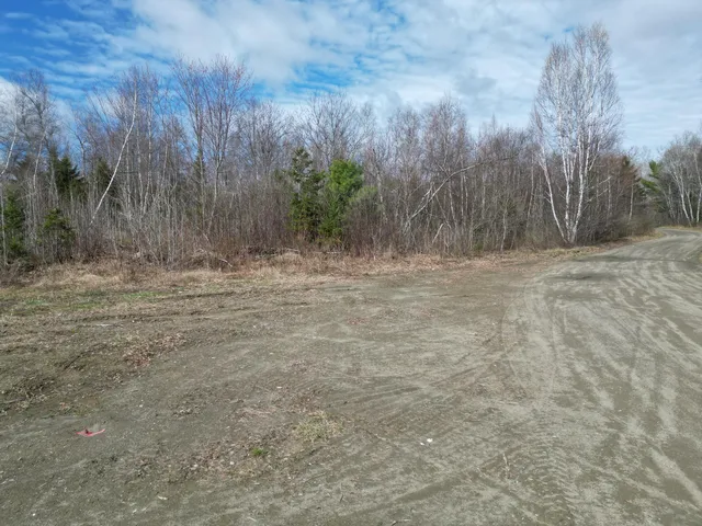 Lot 46I-1 Merriman Road, Island Falls, ME 04747