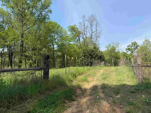 Needham Rd #2, Drummonds, TN 38023