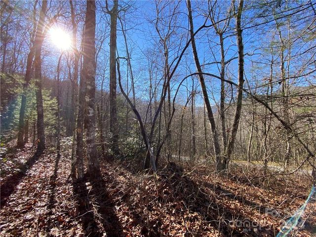 Lake Forest Dr #167, Tuckasegee, NC 28783