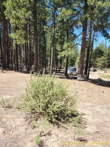 Green Forest Dr #22, Chiloquin, OR 97624