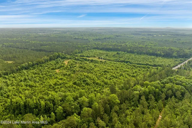 130/ACRE S  Highway 280, Jacksons Gap, AL 36861