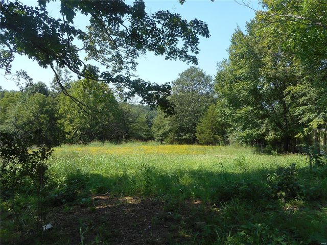 1044 Wayne County Rd #350, Piedmont, MO 63957