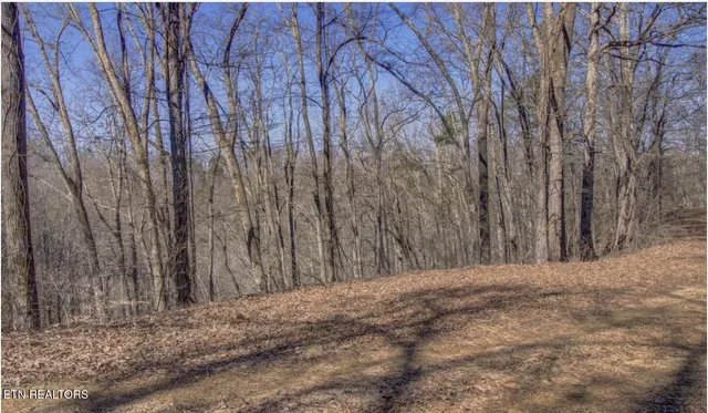4585 Crooked Creek Way #3, Maryville, TN 37803