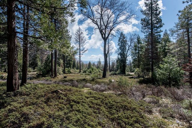 14 Leopard Lilly Ln, Shaver Lake, CA 93664