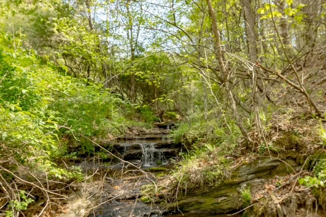 Grayson Pkwy, Independence, VA 24348