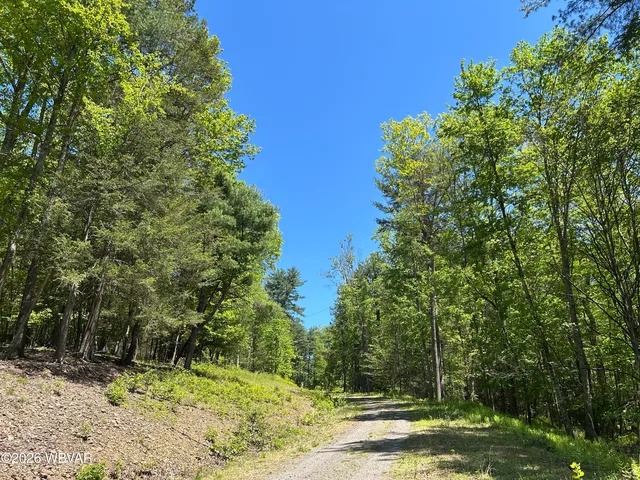112 Tallman Hollow Rd, Montoursville, PA 17754