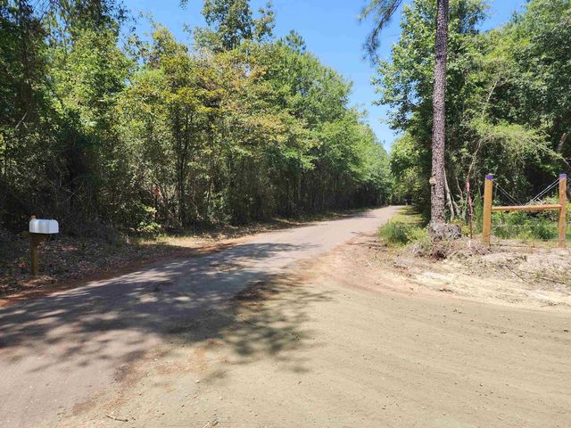 TRACT One County Road 510 Ac Ml   #10, Kirbyville, TX 75956
