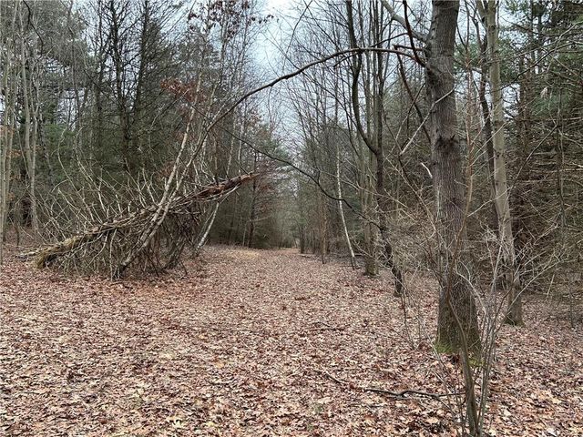 LOT Weir Mountain Rd, Kunkletown, PA 18058