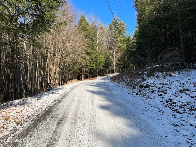 L 15.1 High Pine Meadows Road, Middleburgh, NY 12122