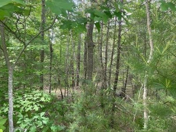 170 Elm St, Hanson, MA 02341
