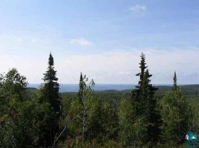 46X Moose Valley Rd, Hovland, MN 55606