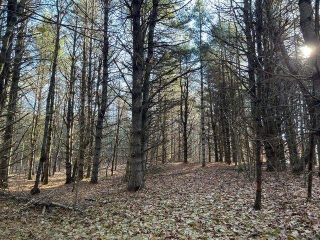 Lot #1 Thorndike Road (Route 139/220), Unity, ME 04988
