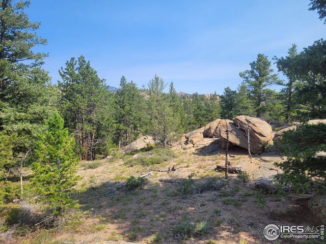 615 W Fox Acres, Red Feather Lakes, CO 80545