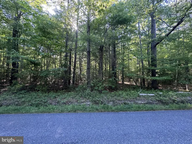 Apple Grove Rd, Kilmarnock, VA 22482