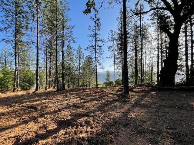 1 Light Canyon Rd, Placerville, CA 95667