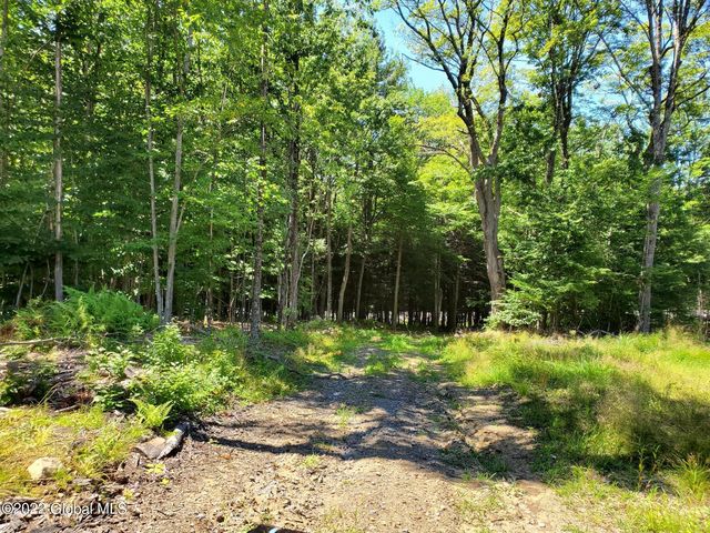 L30 Barkersville Road, Middle Grove, NY 12850