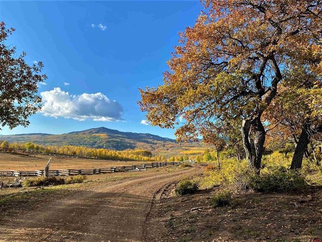 Fs Road Forest Service Rd   #128, Hotchkiss, CO 81419