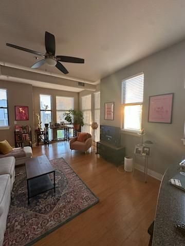 650 S  Mill St #311, Lexington, KY 40507