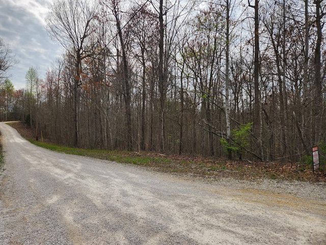 County Road 1024 Doe View Dr, Wellington, KY 40387
