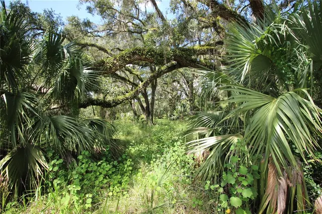 7730 SE 3rd Ter, Inglis, FL 34449