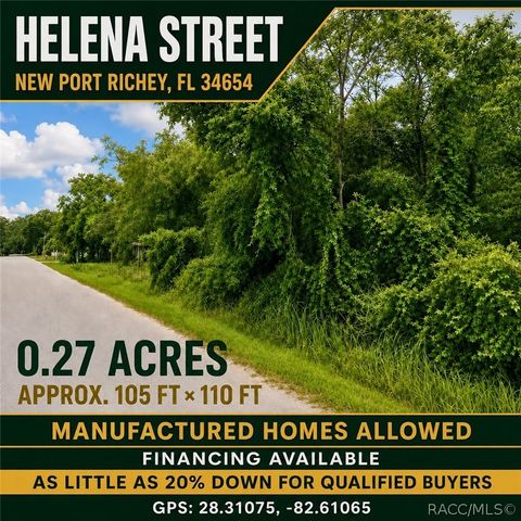 Helena St, New Pt Richey, FL 34654